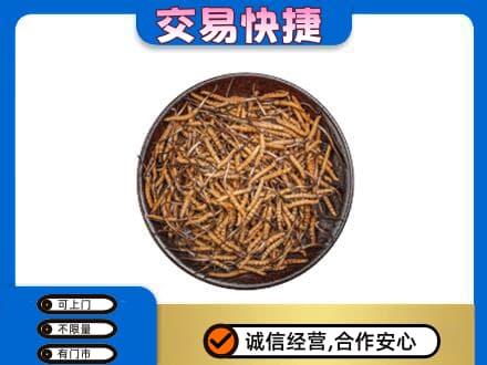 吐鲁番市高价回收散虫草